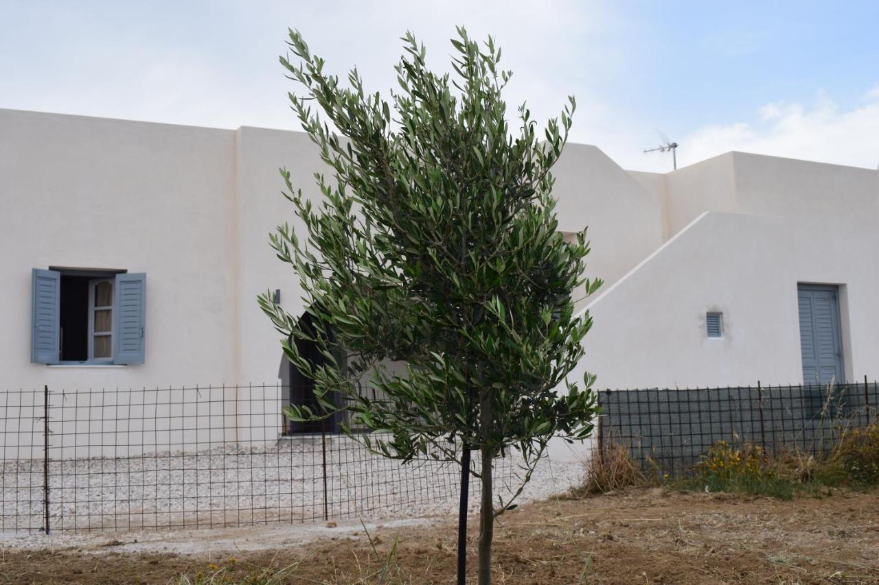 Ktima Panagia Apartment Glinado Naxos Екстериор снимка